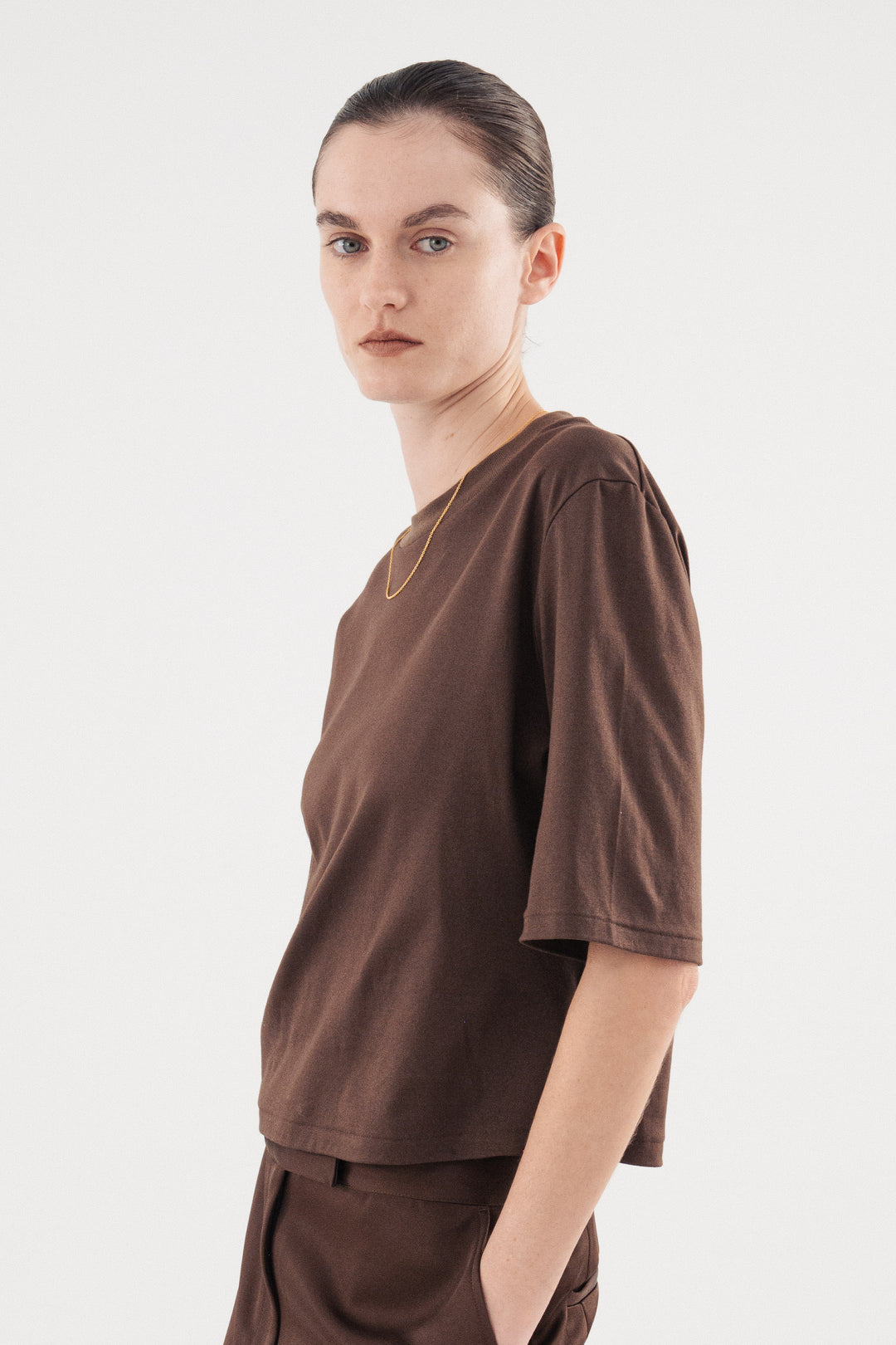 Carve T-shirts / Brown